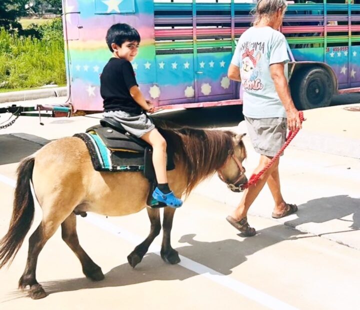Supervised pony activity at Starz R Us